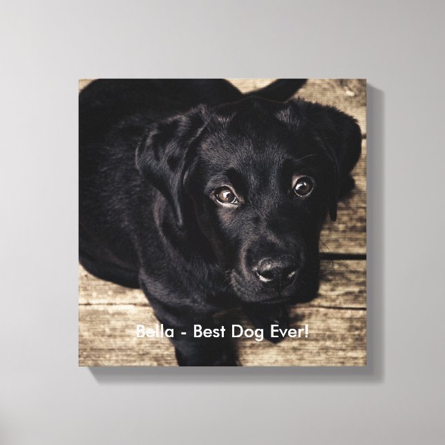 Personalised Black Lab Dog Photo and Dog Name Canvas Print (Front)