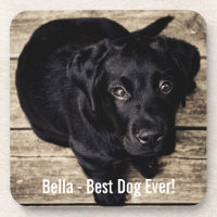Personalised Black Lab Dog Photo and Dog Name