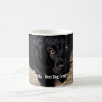 Personalised Black Lab Dog Photo and Dog Name