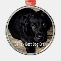 Personalised Black Lab Dog Photo and Dog Name