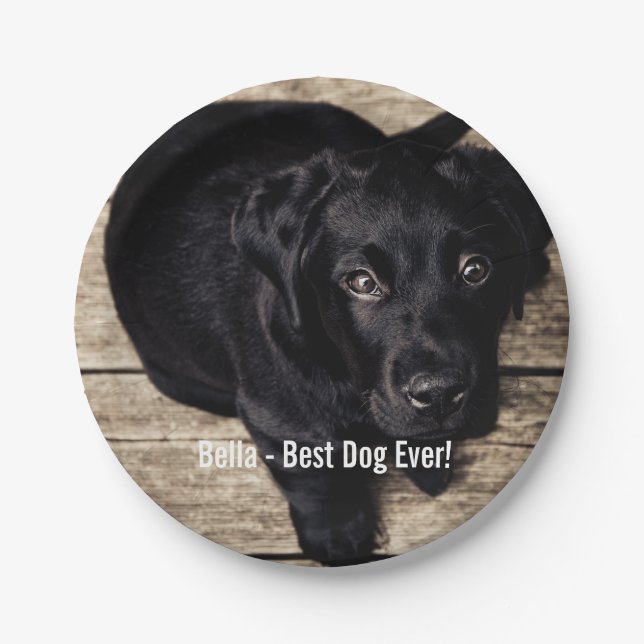 Personalised Black Lab Dog Photo and Dog Name Paper Plate (Front)