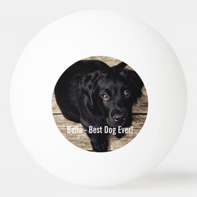 Personalised Black Lab Dog Photo and Dog Name Ping Pong Ball (Front)