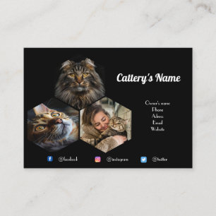 Personalised Black Photo Collage Cattery  Business Card