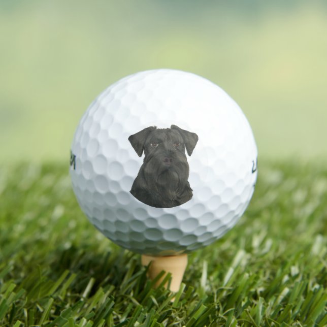 Personalised Black Schnauzer Golf Balls (Insitu Tee)