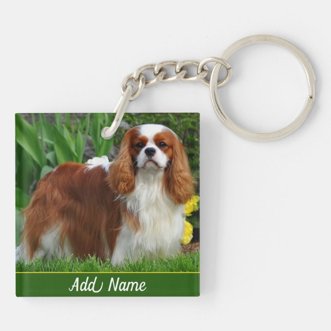 Personalised Blenheim Cavalier King Charles Key Ring (Back)