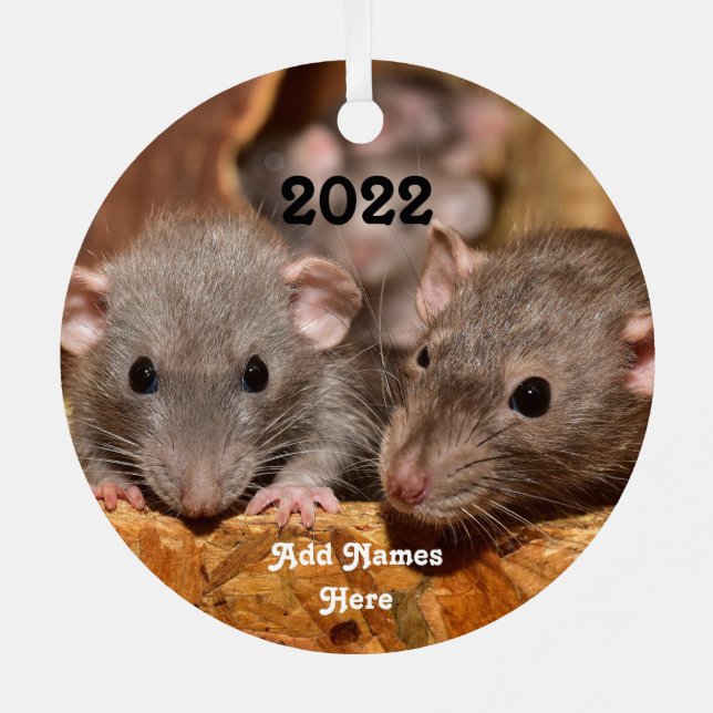 Personalised Blue Grey Dumbo Pet Rats Metal Tree Decoration (Back)