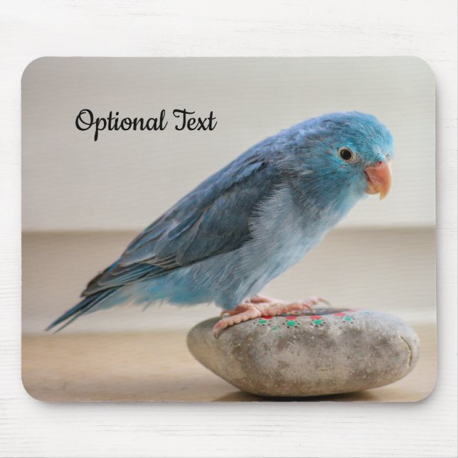 Personalised Blue Parrotlet Bird Mouse Mat (Front)