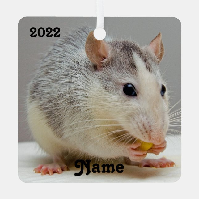 Personalised Blue Roan Pet Rat Ceramic Ornament (Back)