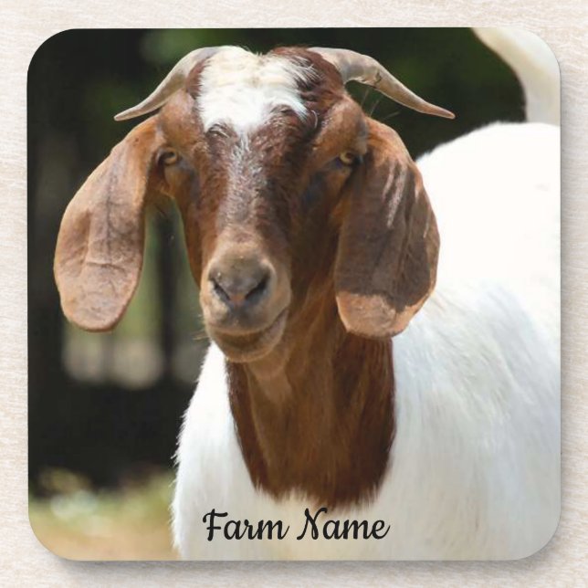 Personalised Boer Goat Farm Coaster (Front)