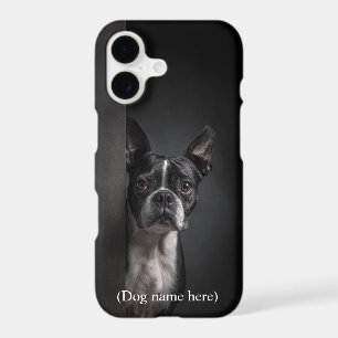 Personalised Boston Terrier Portrait