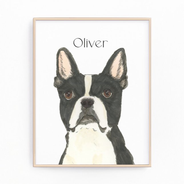 Personalised Boston Terrier Portrait Photo Print (Creator Uploaded)