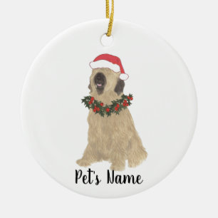 Personalised Briard Ceramic Tree Decoration