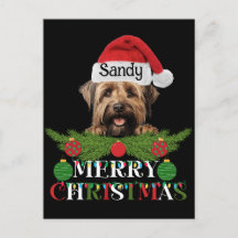 Personalised Briard Dog Merry Christmas