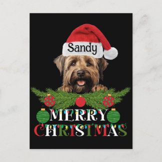 Personalised Briard Dog Merry Christmas Holiday Postcard