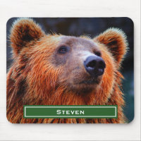 Personalised Brown Bear Portrait Wildlife Photo