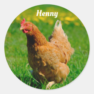 Personalised Brown Chicken in the grass Classic Round Sticker