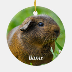 Personalised Brown Guinea Pig Ceramic Tree Decoration