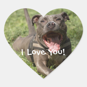 Personalised Brown Pitbull In Grass Heart Sticker