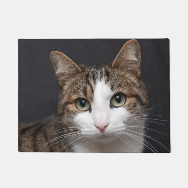 Personalised Brown Tabby Cat Single Pet Photo Doormat (Front)