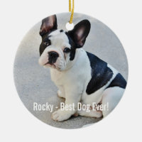 Personalised Bulldog Photo and Bulldog Name