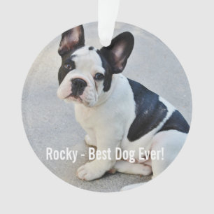 Personalised Bulldog Photo and Bulldog Name Ornament