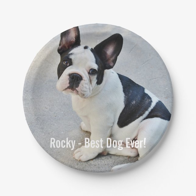 Personalised Bulldog Photo and Bulldog Name Paper Plate (Front)