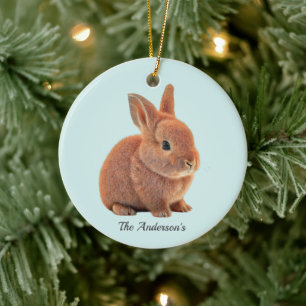 Personalised Bunny on Light Blue Ceramic Tree Decoration