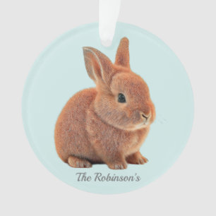 Personalised Bunny on Light Blue Ornament