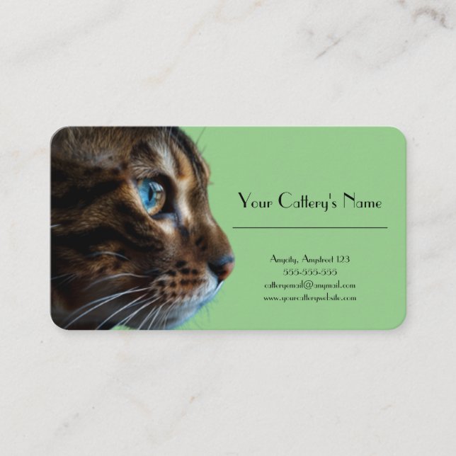 Personalised Business Card For Cattery (Front)