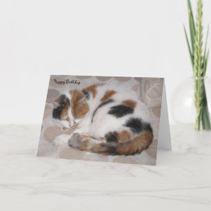 Personalised Calico cat curled up asleep Birthday Card