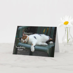 Personalised Calico cat curled up chair Birthday Card