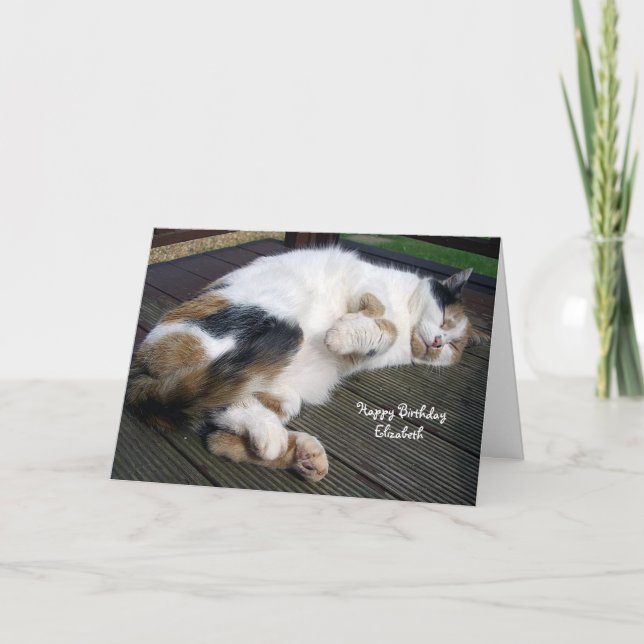Personalised Calico cat curled up decking Birthday Card (Front)