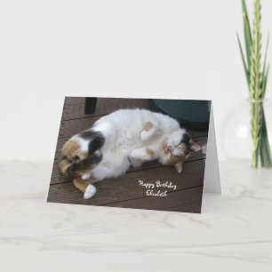Personalised Calico cat curled up decking Birthday Card