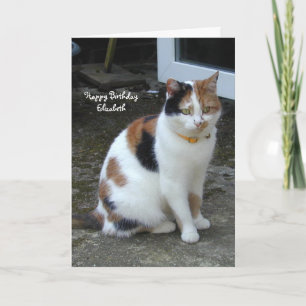 Personalised Calico cat sitting outside Birthday Card
