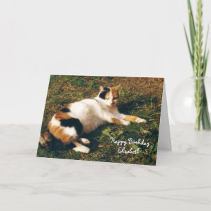 Personalised Calico cat sunbathing Birthday Card