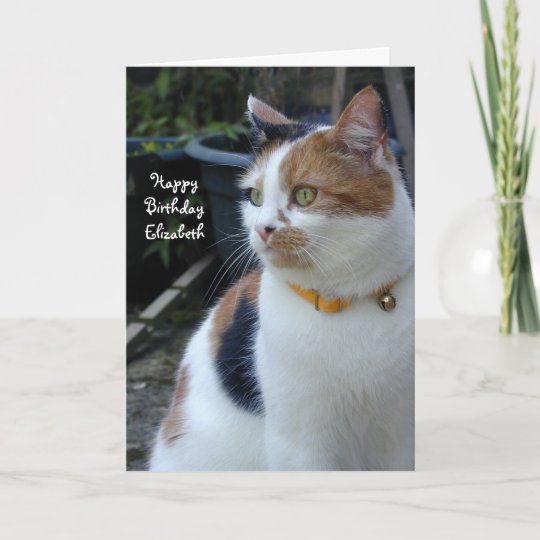 Personalised Calico cute cat Birthday Card | Zazzle.co.uk