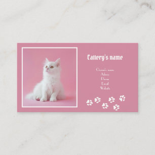 Personalised Calling Card For Cattery Soft Pink