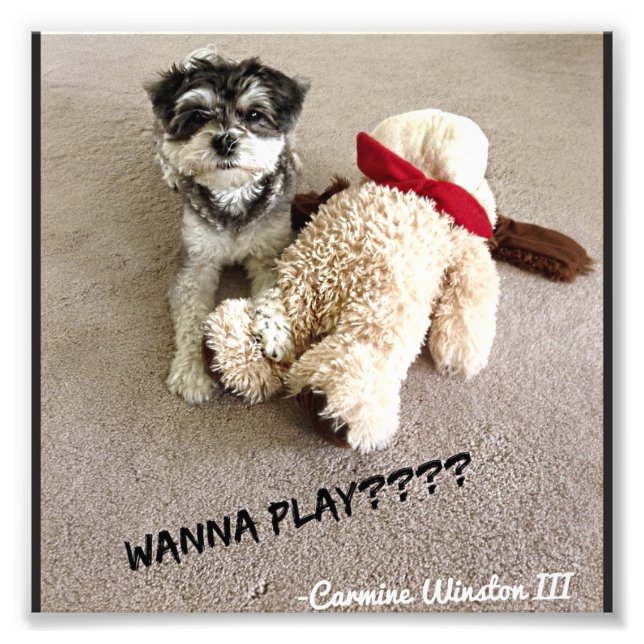 Personalised Carmine Photograph 6x6 (Front)