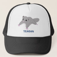 Personalised Cartoon Sugar Glider Grey and Blue