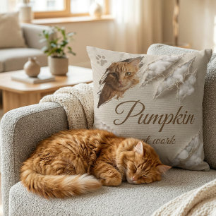 Personalised Cat At Work Scratch Photo Cushion