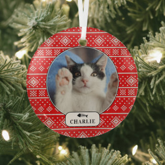 Personalised Cat Fish Red Snowflake Pet Photo Glass Tree Decoration