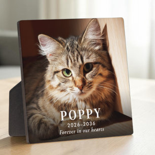 Personalised Cat Memorial Photo Plaque