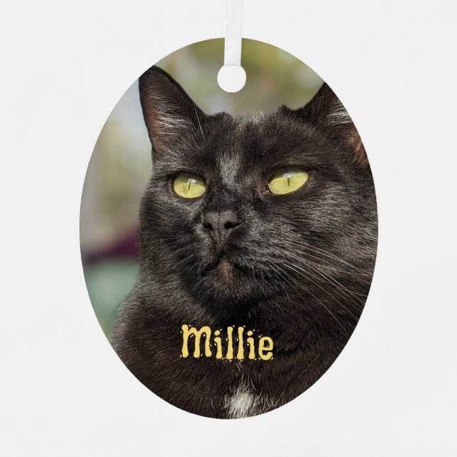 Personalised Cat Ornament (Front)