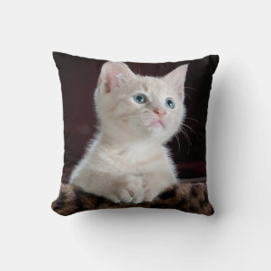 Personalised Cat Pet Photo Double Sided Cushion