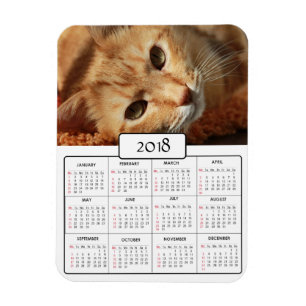 Personalised Cat Photo  2018 Calendar Magnet