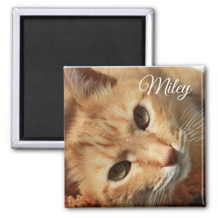 Personalised Cat Photo and Name Magnet