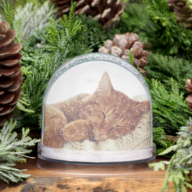 Personalised Cat Photos Keepsake Snow Globe (Winter)