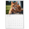 Personalised Cat Photos Pet Year Create Your Own