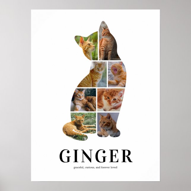 Personalised Cat Silhouette Photo Collage Poster (Front)