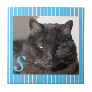 Personalised Ceramic Cat Tile